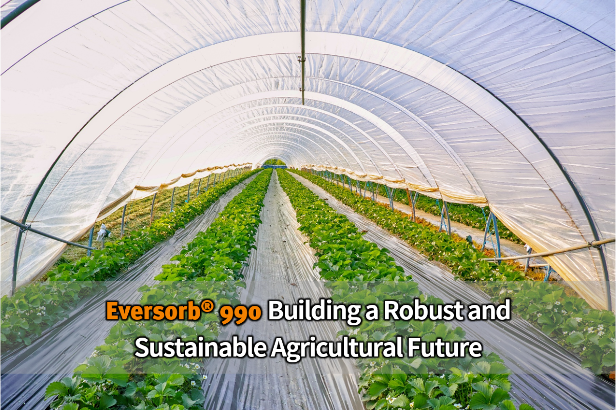 Eversorb 990 Creates a Resilient and Sustainable Agricultural Future